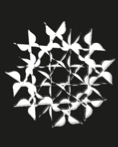 EST.004 — X-Ray of a Rose